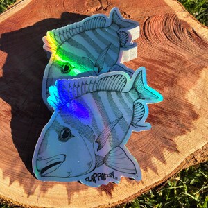 Sheepshead Sticker, 5 Inch - Etsy