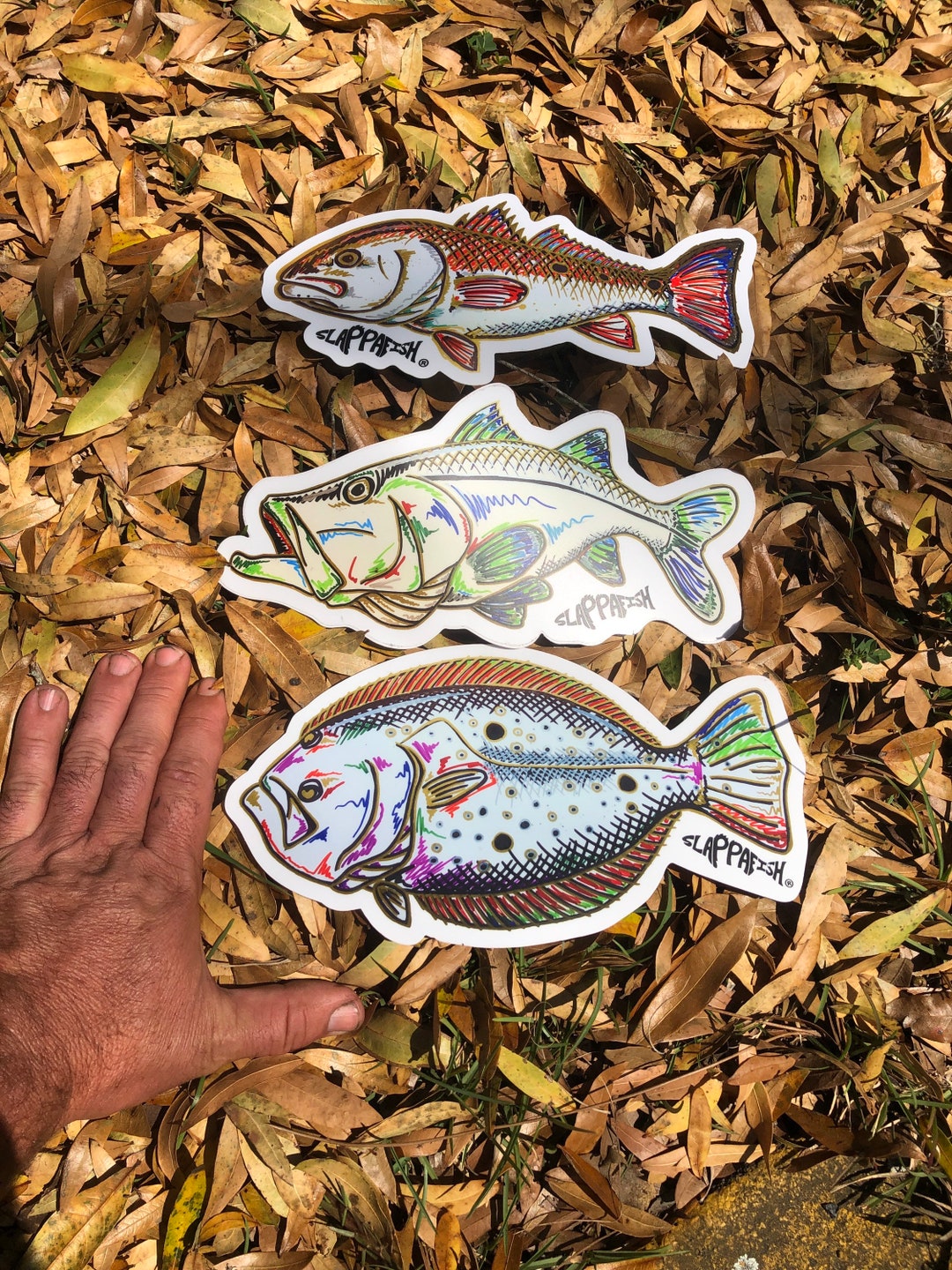 Snook, Redfish, and Flounder Sticker Package - Etsy