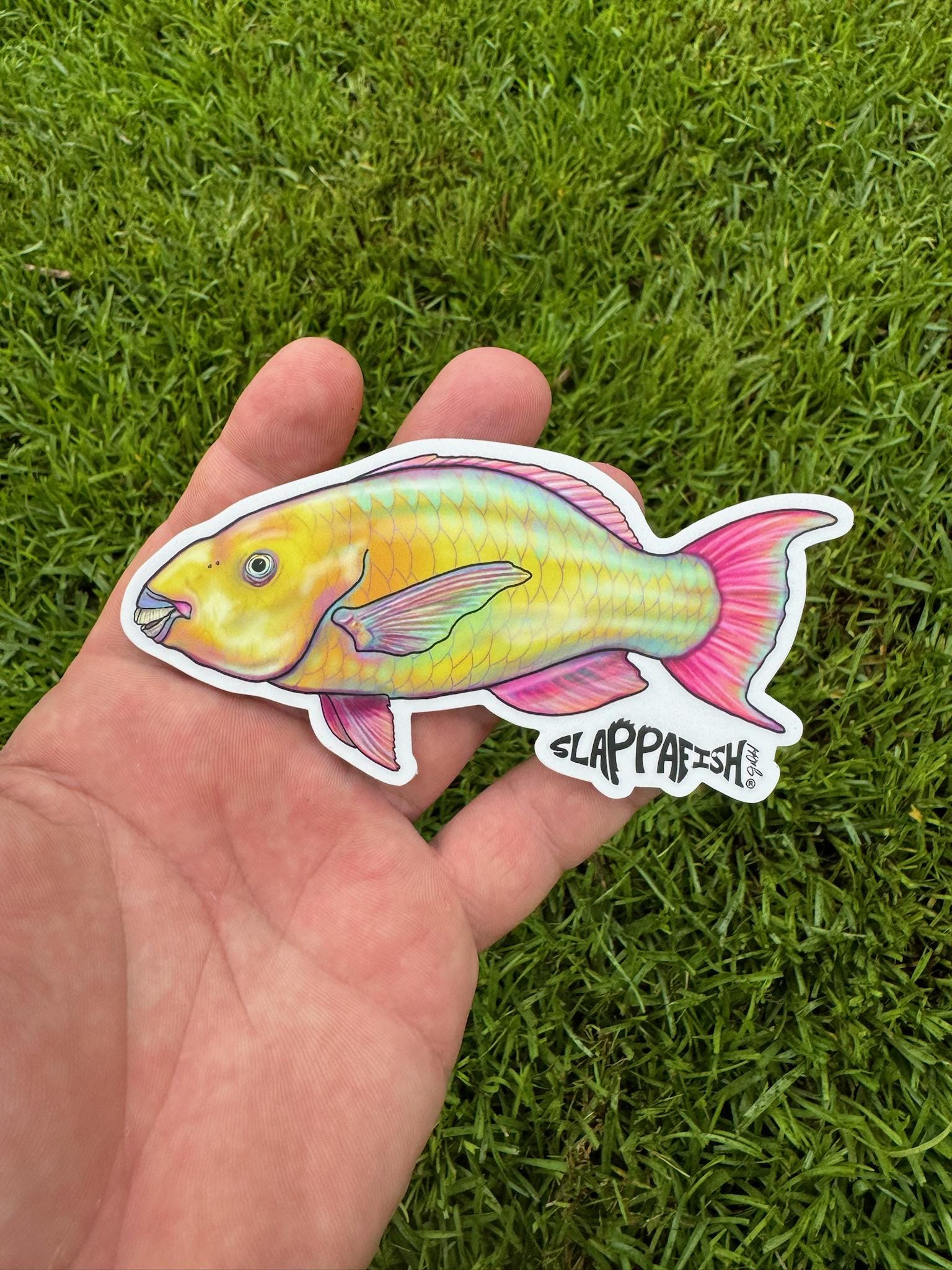 Parrot Fish Sticker, 5 Inch - Etsy