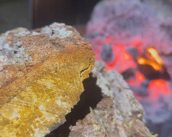 Live Oak Collaboration