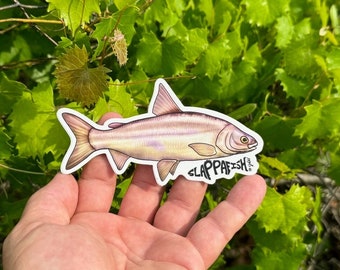 Mountain Whitefish Sticker , 5 Inch