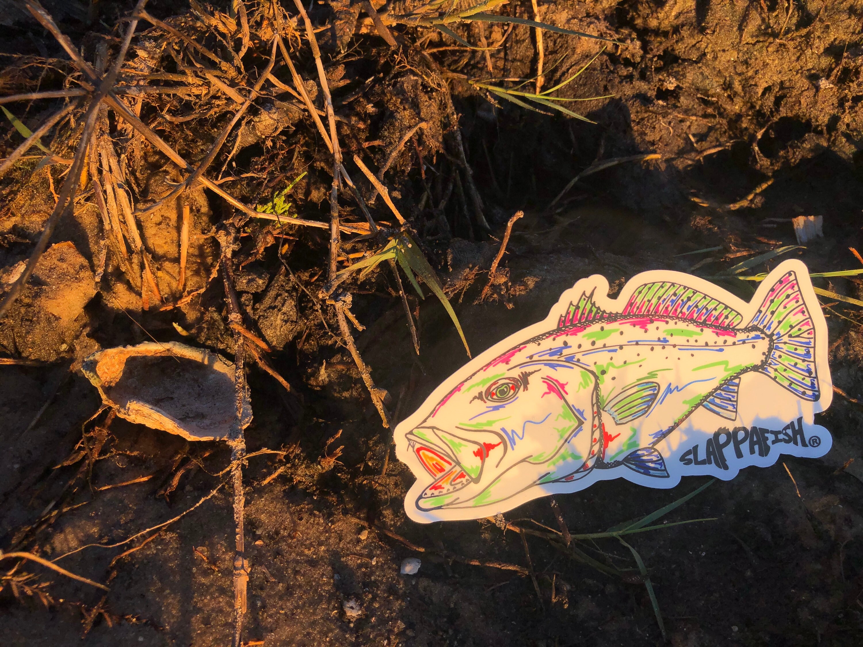 Speckled Trout Sticker 5 Inch | Etsy