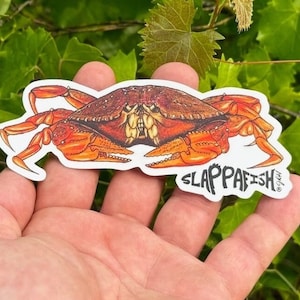 Dungeness Crab Sticker 5 Inch