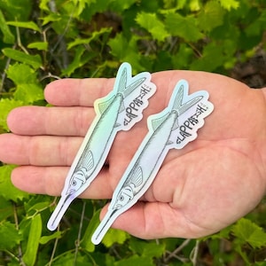 Ballyhoo Shiny Sticker, 5 Inch, 2 PACK
