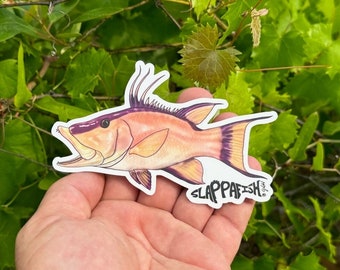Hogfish Sticker , 5 Inch