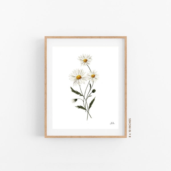 Daisy Watercolor Floral Art Print | Watercolor Daisy Painting | Watercolor Botanical Florals | Art Print | Floral Art Print | Daisy Wall Art
