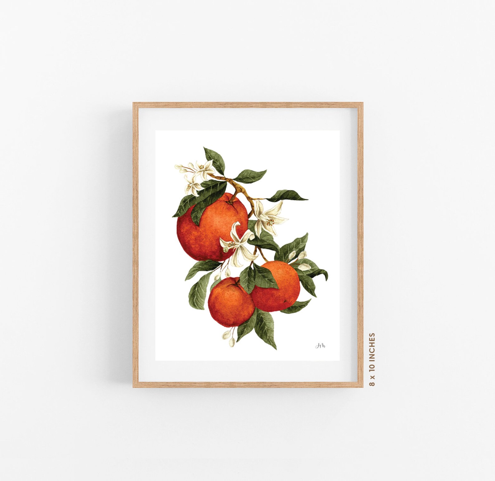 Orange Blossom Watercolor Art Print Etsy