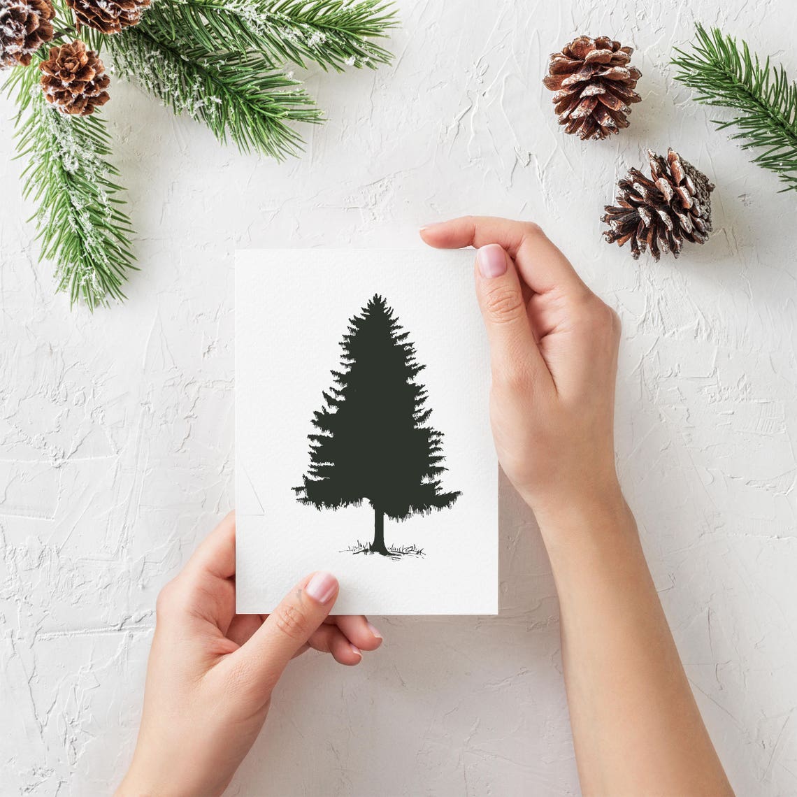Evergreen Card Etsy