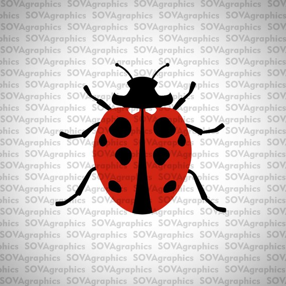 Download Free Ladybug Svg Bug Svg Beetle Svg Dxf Love Bug Svg Summer Etsy SVG Cut Files