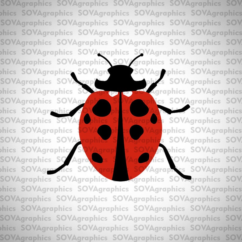 Free Free 91 Grandma&#039;s Love Bugs Svg SVG PNG EPS DXF File