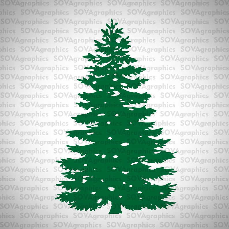 Download Rr1vdsivaooc5m