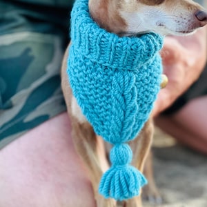 Könnte beinhalten: Ein kleiner brauner Hund mit einem helltürkisenen Strickschal mit Quaste. Der Hund sitzt im Sand, im Hintergrund sind die Beine und Hände einer Person zu sehen. Der Schal hat eine leuchtende blaue Farbe.