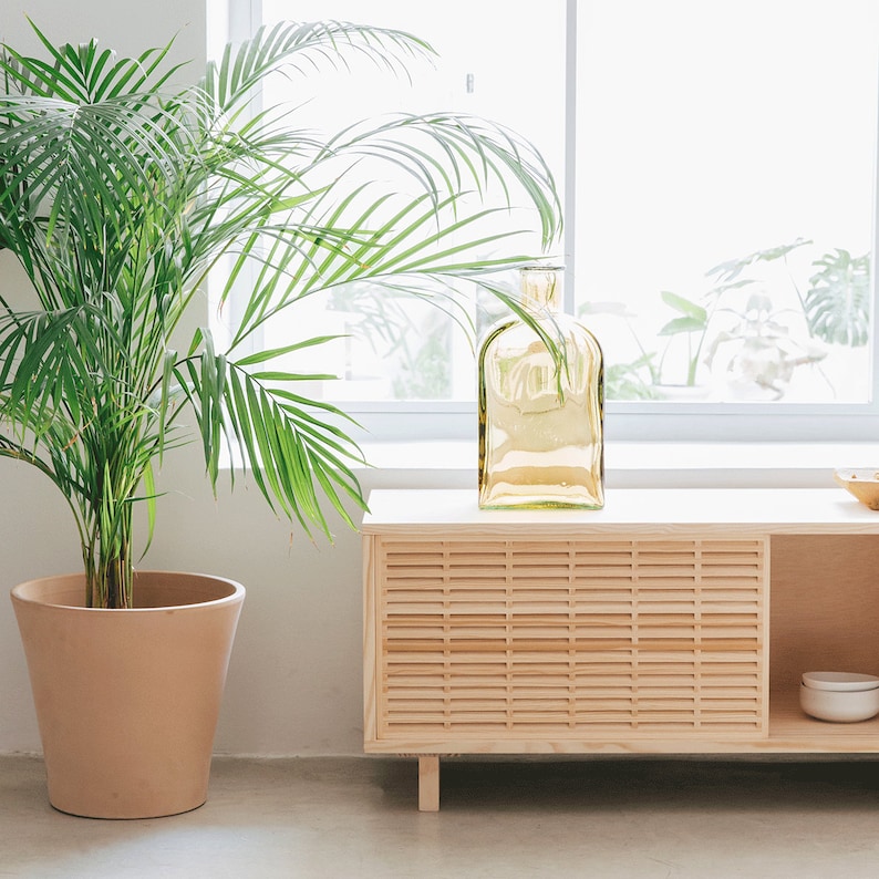 Pu&ograve; includere: Un mobile in legno chiaro con un'anta a lamelle e uno scaffale. Una grande bottiglia di vetro trasparente con una tinta gialla &egrave; posizionata sopra il mobile. Una pianta verde in vaso si trova in primo piano.
