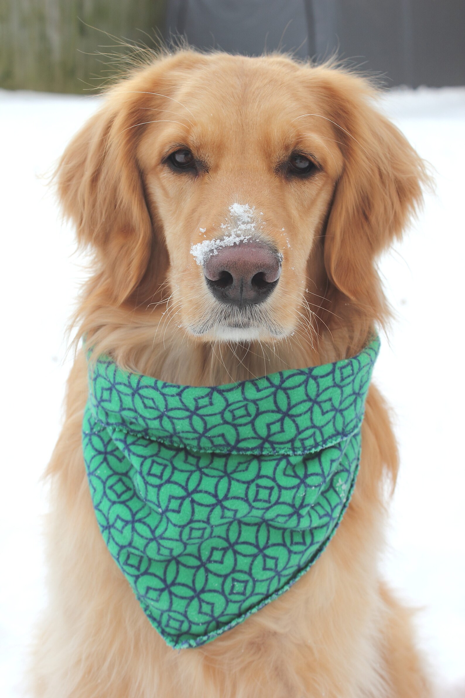 Le Diamond Flannel Bandana bandana chien bandana Etsy