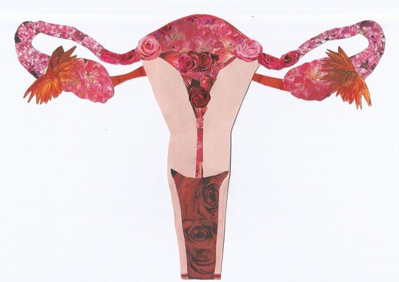 uterus poster collage fine art print photo collage printer
