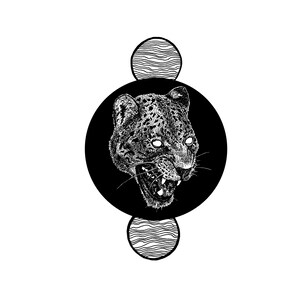 Snarling Leopard Print - 8x8 Archival - Jaguar - Giclee