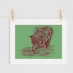 Puede incluir: Un dibujo de l&iacute;nea roja de un lobo bebiendo de un charco de agua sobre un fondo verde.