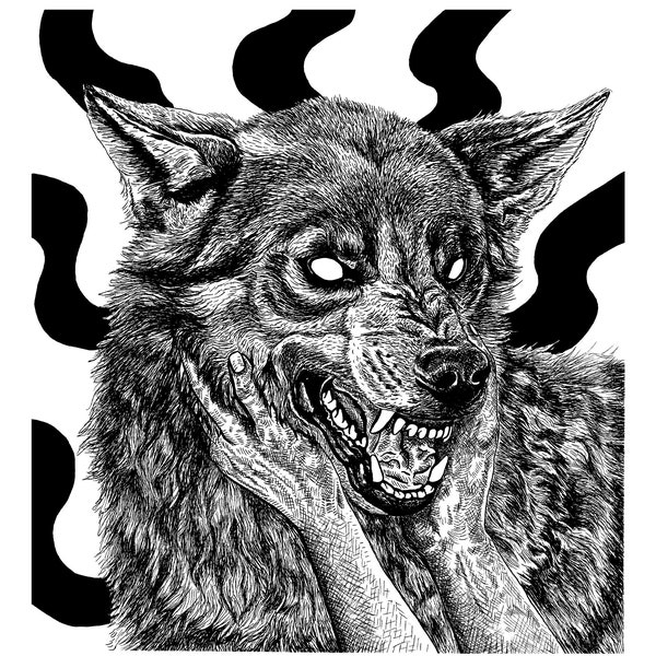 8x10 Print - Giclee - Archival - Ink Illustration - Pen and Ink Drawing - Snarling Wolf