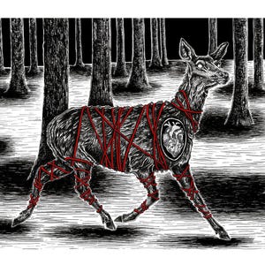 Puede incluir: Ilustración en blanco y negro de un ciervo en un bosque, atado con una cuerda roja. El ciervo tiene un diseño en forma de corazón en su costado. El fondo presenta árboles altos y oscuros.