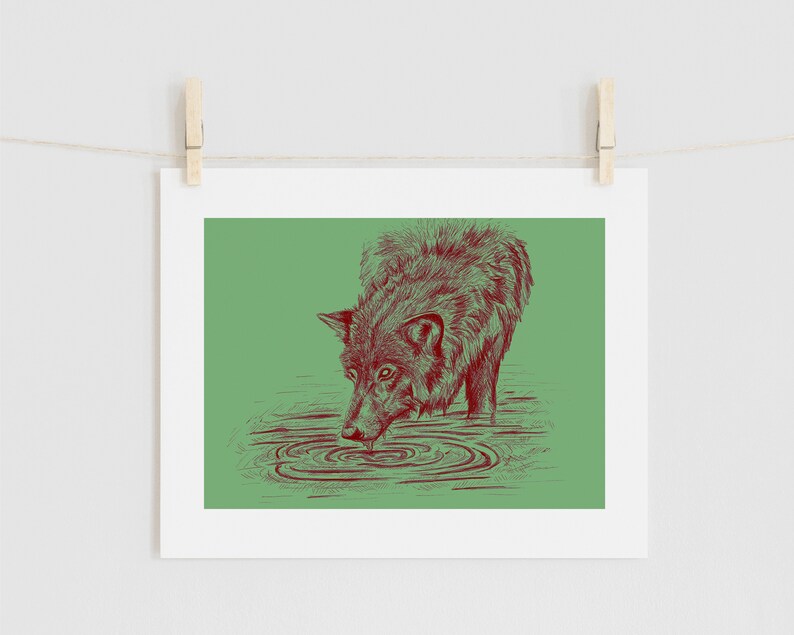 Puede incluir: Un dibujo de l&iacute;nea roja de un lobo bebiendo de un charco de agua sobre un fondo verde.