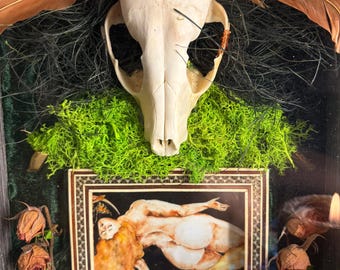 Haunted Deer Woman Vessel taxidermGuardian of the Wild Feminine & Protector of the Betrayed|Justice| Predator exposure| Healing|Reclamation