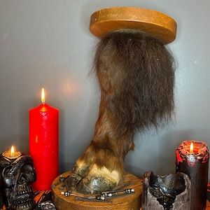 May include: A taxidermied hoof with dark brown fur and a wooden base, topped with a wooden disc. A red candle and a black skull candle holder are on the left, and a black and red candle is on the right. The items are on a patterned orange and black cloth.