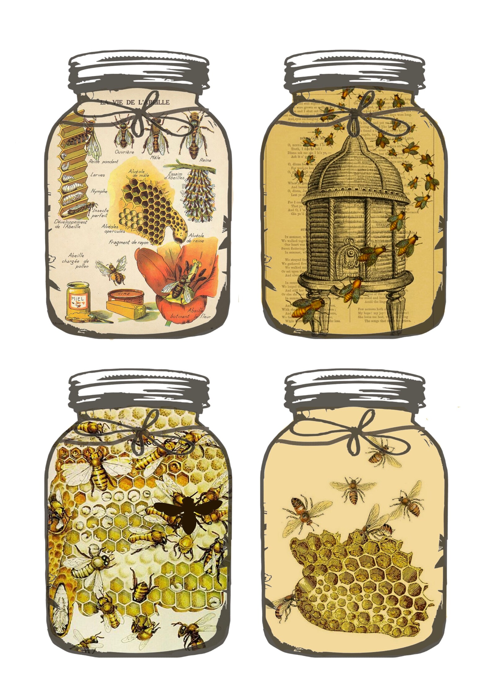 Honey Bee Mason Jars Fussy Cutsephemeraprintable Etsy