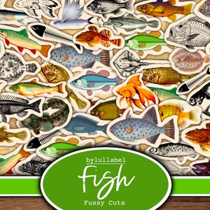 Fisch pingelige Schnitte Ephemera, Junk Journal Collagen, Embellishment Zubehör, 50 verschiedene Bilder, erstaunliches Preis-Leistungs-Verhältnis. Jpg-Format