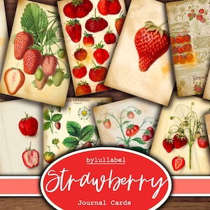 Carte del diario di fragole vintage, carte ATC di frutta, forniture di riviste effimere e spazzatura, mini carte, fiori, tagli pignoli di creature