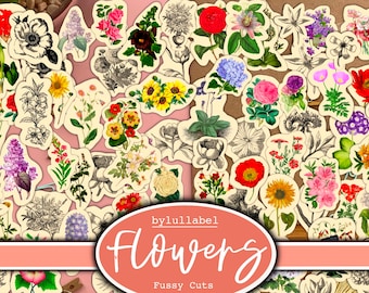 Vintage flowers fussy cuts ephemera, junk journal collages, embellishment supplies,  60 different images, amazing value. Jpg format