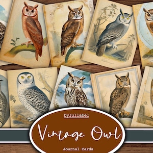 cartes de journal vintage hiboux, cartes ATC, fournitures de journaux éphémères et indésirables, mini papiers, fleurs, coupes difficiles botaniques