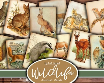 May include: A set of vintage-style journal cards featuring various wildlife illustrations. The cards feature images of a rabbit, a deer, a badger, a squirrel, a bird, and a hare. The cards are printed on a textured paper with a vintage aesthetic.