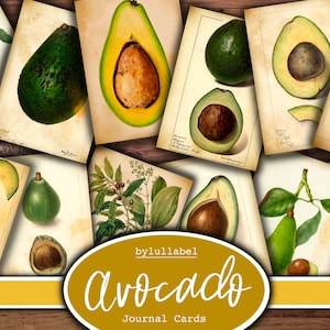 Vintage Avocado-Journal-Karten, Obst-ATC-Karten, Ephemera und Junk-Journal-Versorgungsmaterialien, Mini-Papiere, Blumen, Kreaturen pingelige Schnitte