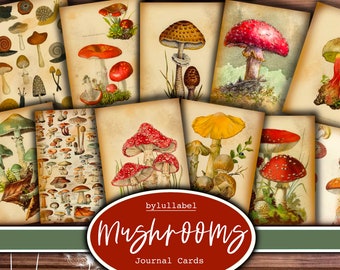 Vintage Mushroom Journal Cards: Fungi Ephemera (Digital Download)
