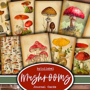 Carte del diario dei funghi vintage, carte ATC funghii, forniture di riviste effimere e spazzatura, mini carte, fiori, tagli pignoli di creature
