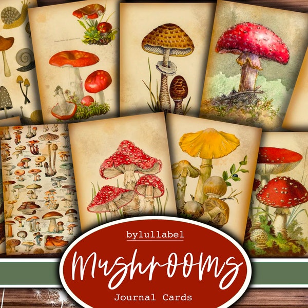 Vintage Mushrooms  journal cards, funghii ATC cards, ephemera and junk journal supplies, mini papers, flowers, creature fussy cuts
