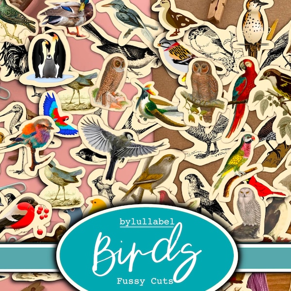 Bird fussy cut ephemera, junk journal collages, embellishment supplies,  60 birds, amazing value. Jpg format