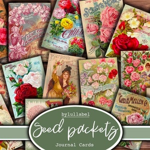 cartes de journal vintage Seed Packet, cartes Roses ATC, éphémères et fournitures de journal indésirable, mini papiers, fleurs, coupes botaniques difficiles