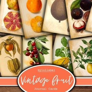 Cartões de diário de frutas vintage, cartões ATC de frutas tropicais, materiais efêmeros e lixo para diário, minipapéis, flores, cortes complicados de criaturas