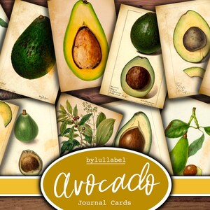 Vintage Avocado-Journal-Karten, Obst-ATC-Karten, Ephemera und Junk-Journal-Versorgungsmaterialien, Mini-Papiere, Blumen, Kreaturen pingelige Schnitte