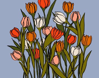 Spring Tulips (various colors)