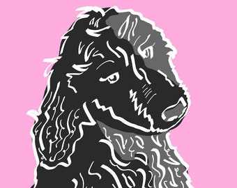May include: A black and white illustration of a dog with long, curly hair. The dog is looking to the right and has a serious expression.