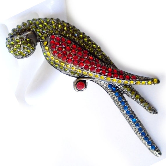 Parrot brooch discount