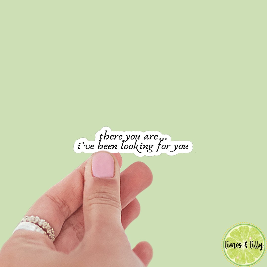 There You Are I’ve Been Looking for You Book Vinyl Sticker, Book Inspired, Quote Kindle Stickers, Bookish Stickers Romantasy
