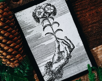 May include: A black and white illustration of a hand holding a single flower with two blooms. The image is on a black background and surrounded by pine cones and ferns.