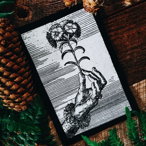 Puede incluir: Una ilustración en blanco y negro de una mano sosteniendo una sola flor con dos flores. La imagen está sobre un fondo negro y rodeada de piñas y helechos.