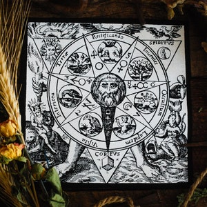 May include: A black and white print of a circular diagram with a star in the centre. The diagram is surrounded by a circle with text in Latin. The text includes the words "Anima", "Terre", "Rectificando", "Interiora", "Vifita", "Spiritus", "Inuenies", "Lapitem", "Occultum", and "Cor PVS".