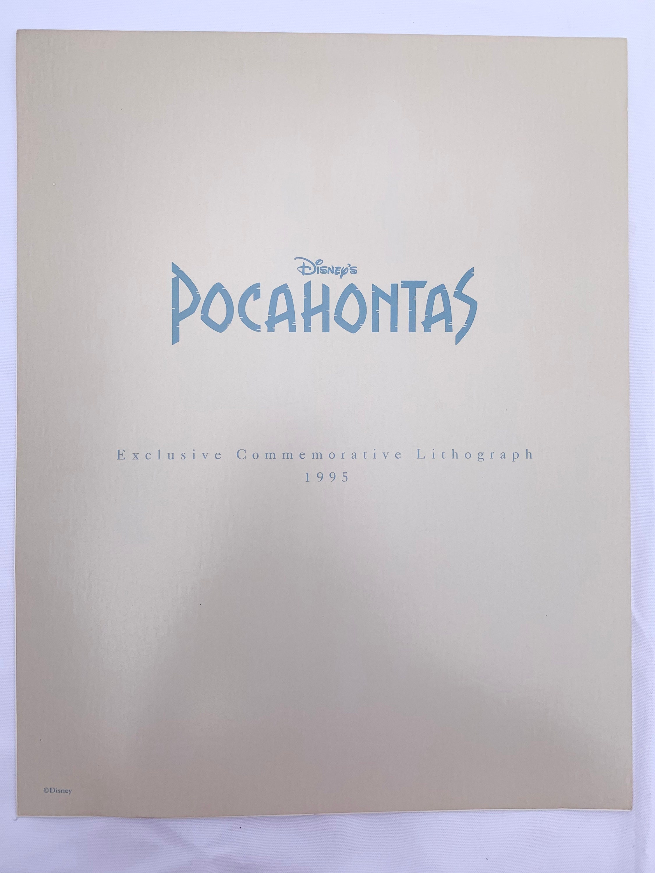The Disney Store Exclusive Commemorative Lithographs Set Etsy