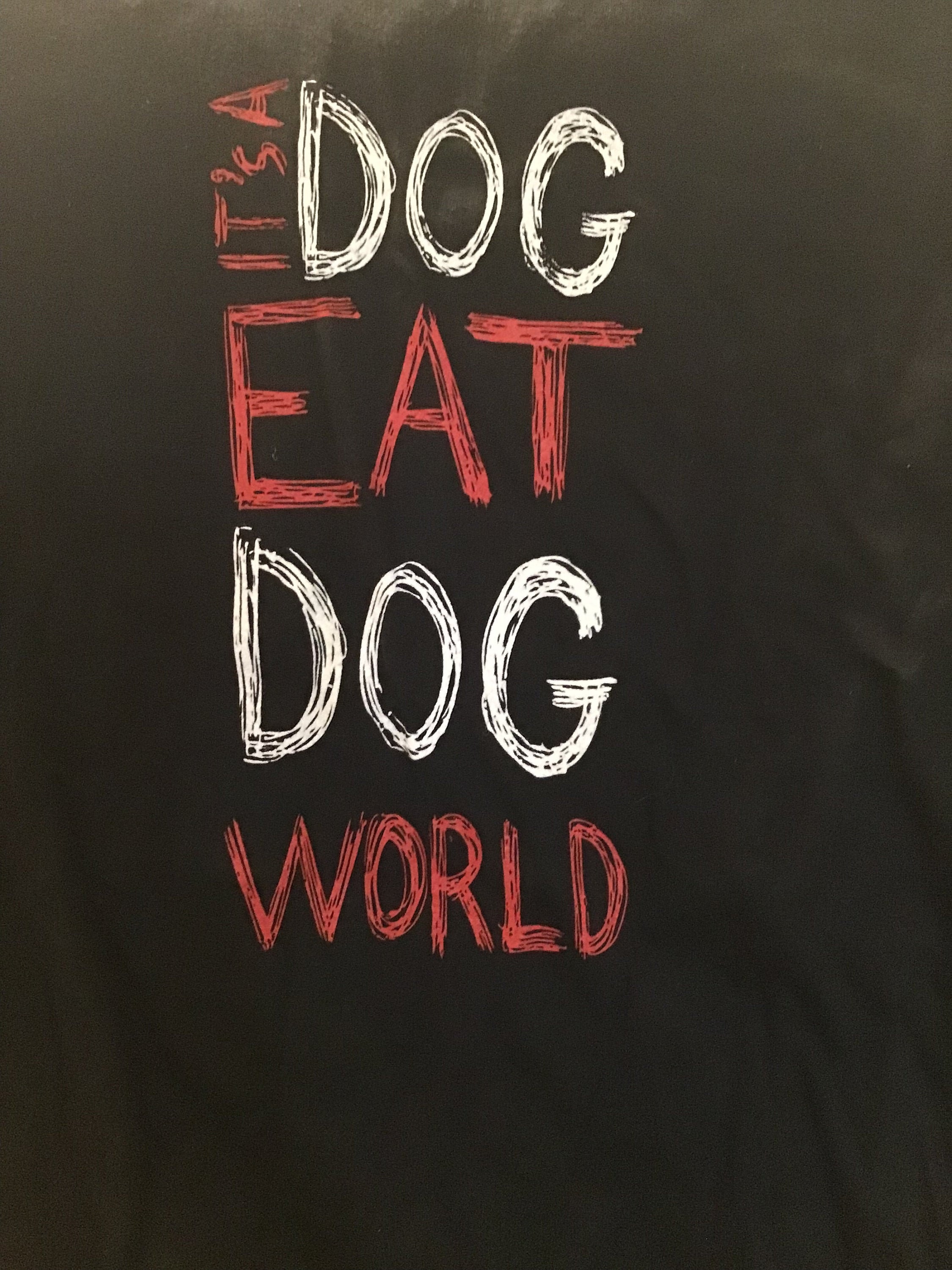 What Is A Dog Eat Dog World