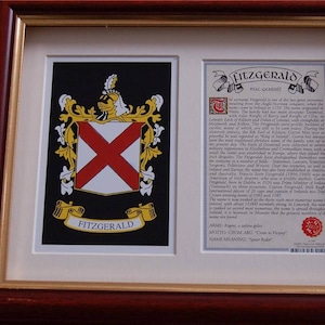 Irish Family Coat of Arms / Crest